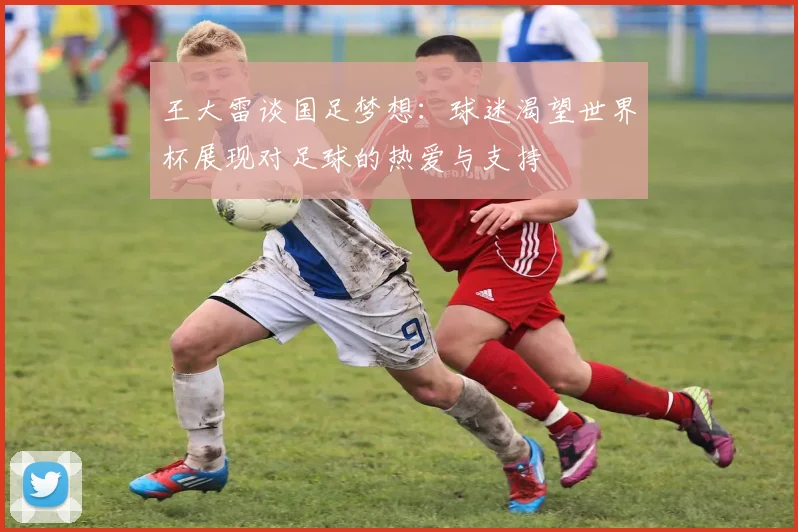 王大雷谈国足梦想：球迷渴望世界杯展现对足球的热爱与支持