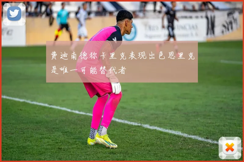 费迪南德称卡里克表现出色恩里克是唯一可能替代者